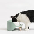 Carica l'immagine nel visualizzatore della galleria, Ciotole rialzate in Ceramica Con Piedi In Legno per cani e gatti - Bau Barker