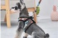 Carica l'immagine nel visualizzatore della galleria, Set pettorina imbottita con tasca e guinzaglio per cani - Bau Barker