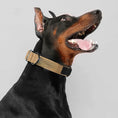 Carica l'immagine nel visualizzatore della galleria, Collare tattico per cani di grossa taglia - Bau Barker