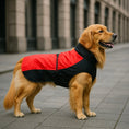 Carica l'immagine nel visualizzatore della galleria, Impermeabile anti pioggia e vento per cani