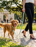 Carica l'immagine nel visualizzatore della galleria, Guinzaglio DailyFit - imbottito per cani