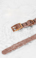 Carica l'immagine nel visualizzatore della galleria, NORDIK LOOP – Collare Tecnico in PVC e Corda Intrecciata
