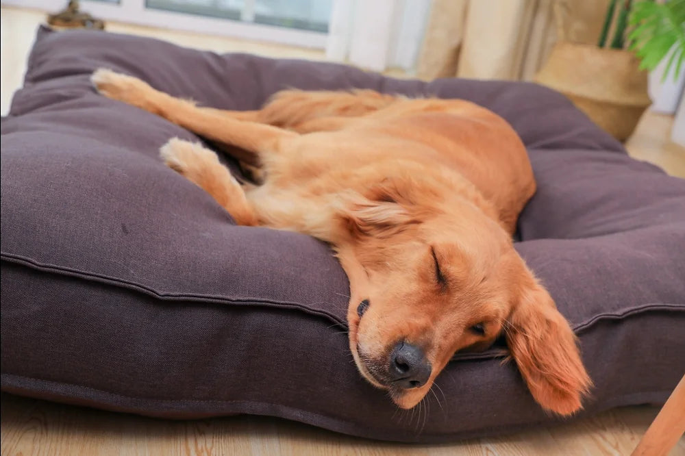 Cuscino Materasso Futon sfoderabile per cani e gatti - Bau Barker