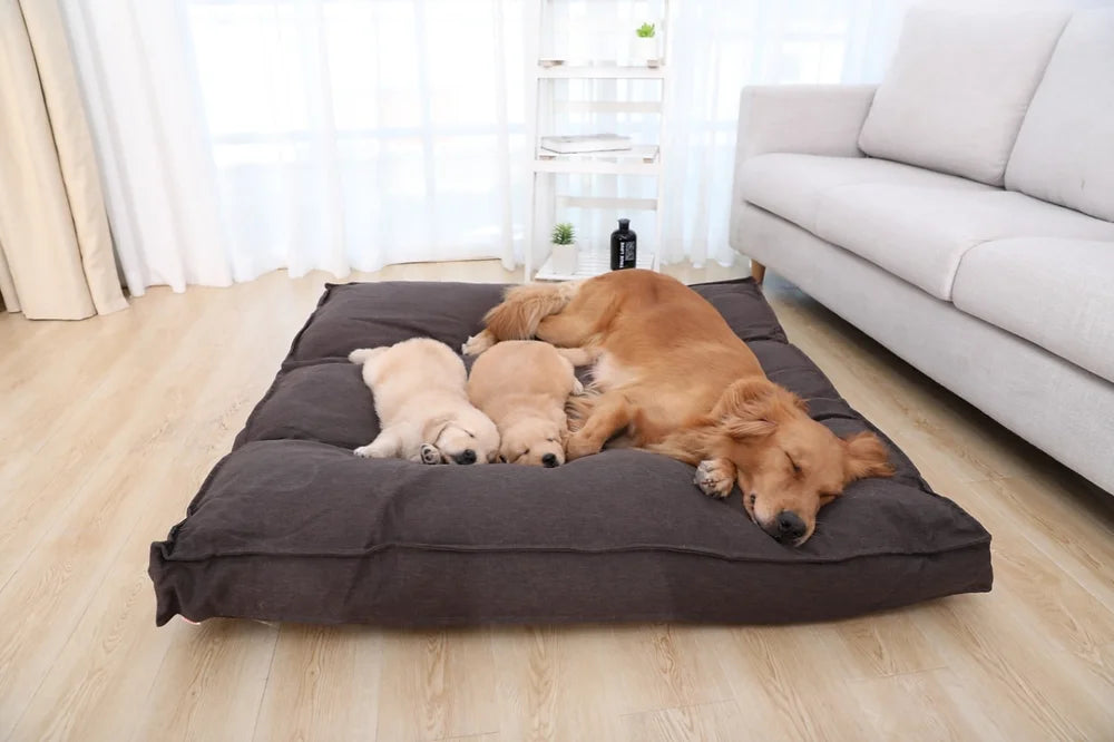 Cuscino Materasso Futon sfoderabile per cani e gatti - Bau Barker