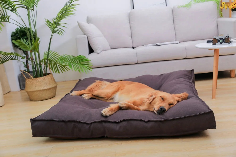 Cuscino Materasso Futon sfoderabile per cani e gatti - Bau Barker