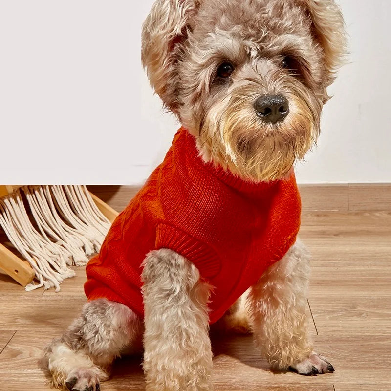 Maglione intrecciato per cani - Bau Barker