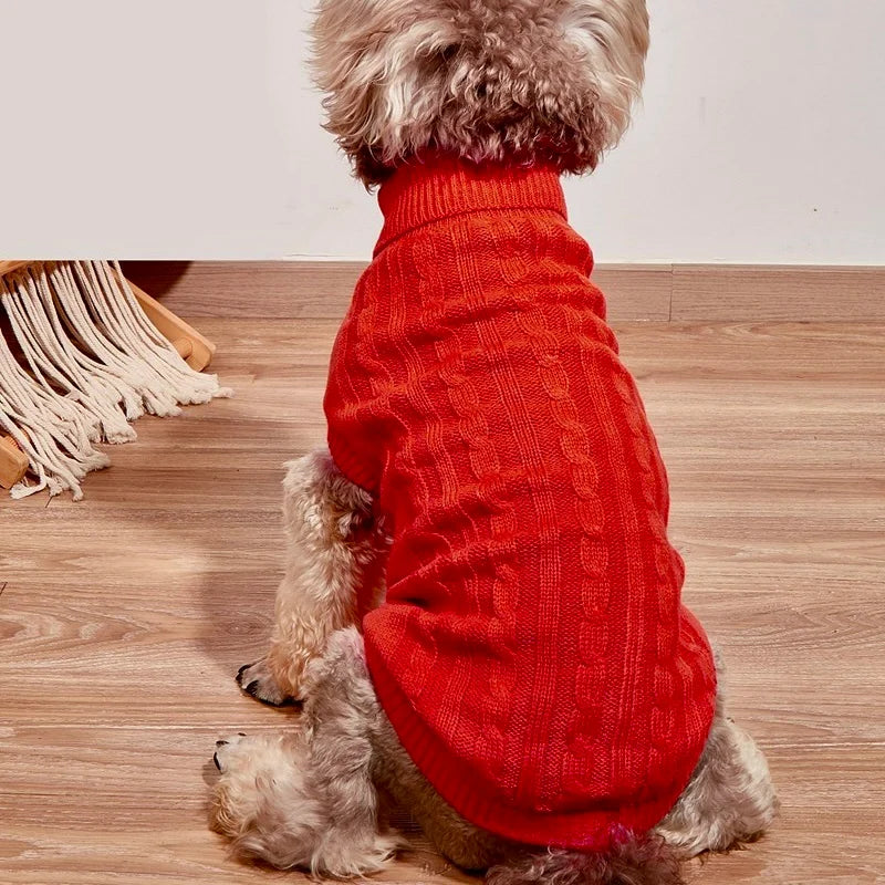 Maglione intrecciato per cani - Bau Barker