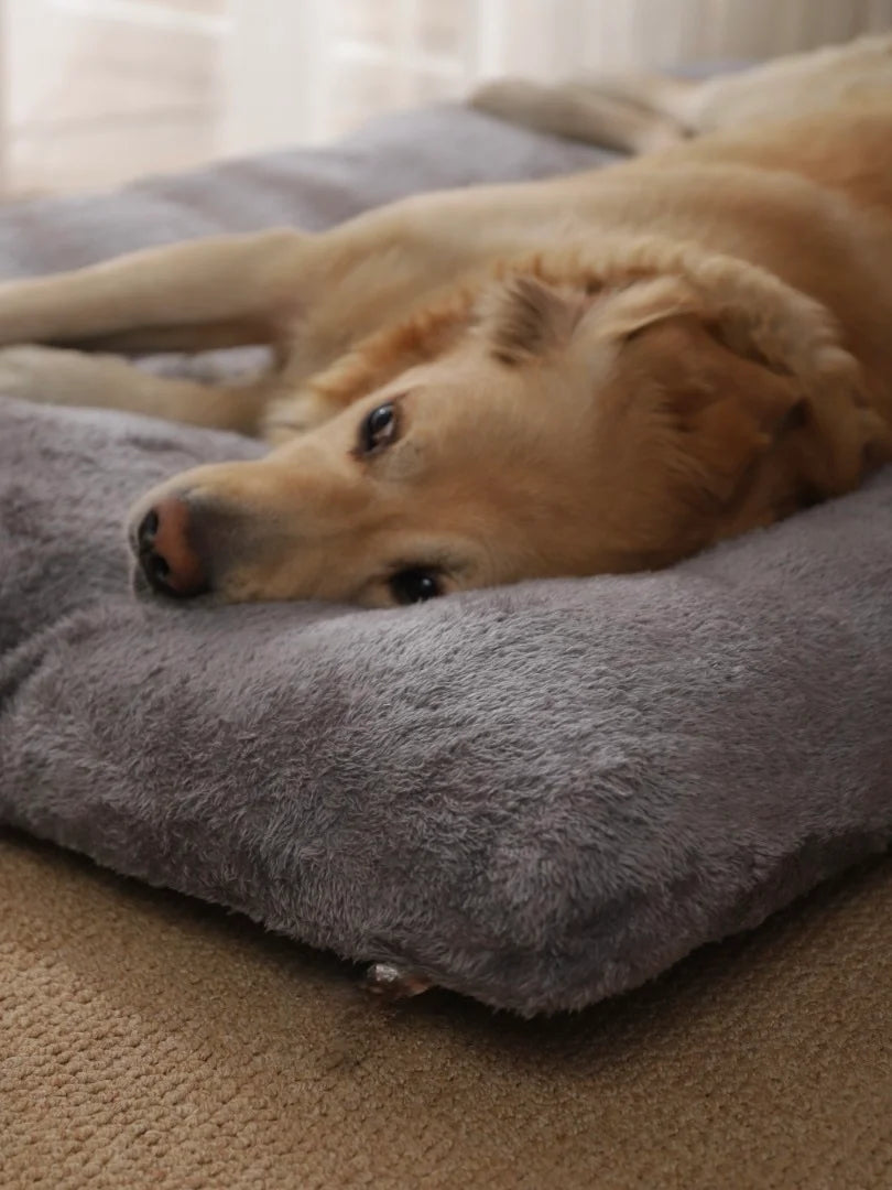 Cuscino peloso per cani sfoderabile - Bau Barker