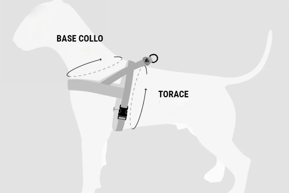 Pettorina Y (svedese, norvegese) per cani con imbottitura - Bau Barker