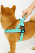 Carica l'immagine nel visualizzatore della galleria, Pettorina Y (svedese, norvegese) per cani con imbottitura
