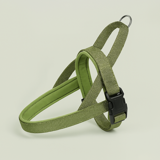 Pettorina Y (svedese, norvegese) per cani con imbottitura