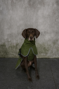 Carica l'immagine nel visualizzatore della galleria, IMPERMEABILE PER CANI DI TAGLIA GRANDE
