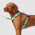 Carica l'immagine nel visualizzatore della galleria, Pettorina Titanflex ad H antifuga per cani
