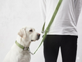 Carica l'immagine nel visualizzatore della galleria, Guinzaglio DAILY FIT - lungo da addestramento PER CANI
