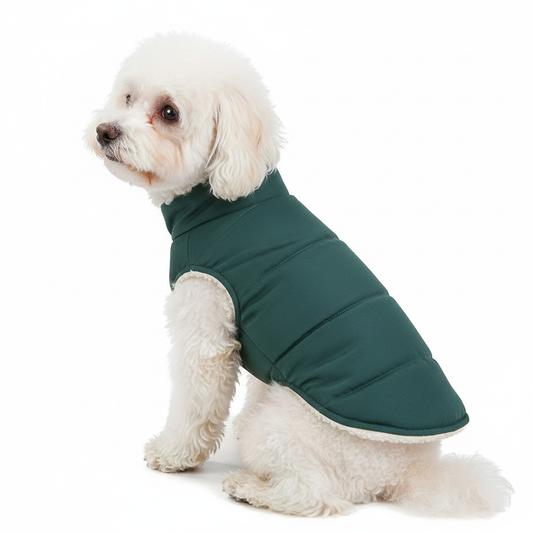 Cappottino imbottito impermeabile per cani